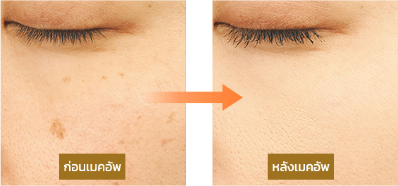 COVERMARK MOISTURE VEIL LX